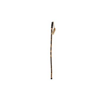 Hike Cane
